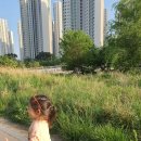 명가통닭 이미지