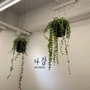 아담에스테틱 - 통영시 | 아담에스테틱