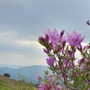 순천 고동산 차로 정상까지 올랐어요 이미지