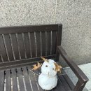 샤론헤어샾 - 목포시 | 방콕 아속역 마사지 가게 근처 다 좋았음. 스파샵 핫스톤은 가격 대비 별로