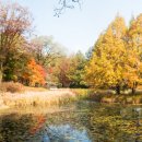 광릉수목원 이미지