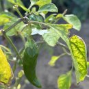 종달항해맞이집 이미지