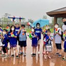 용인대석사비호태권도장 이미지