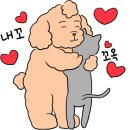 멍뭉식탁 네이버블로그