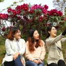 세계모란공원 이미지