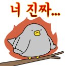낙원식자재 이미지