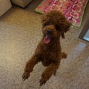 착한개조아 이미지