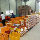 조아농장 이미지