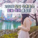야외광장 버스킹 콘서트 | 잠실 호수벚꽃 축제 2026 스프링 페스티벌 야경 후기