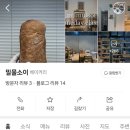 밀물소이