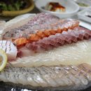 강남수산 네이버블로그