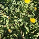 민들래농원 이미지