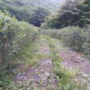 용모농장 이미지