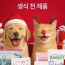 판타펫코리아 이미지