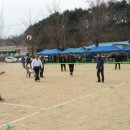 응봉초등학교 이미지