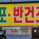 경포배오징어 이미지
