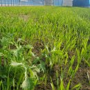 햇살농장 태양광 이미지