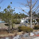 도고온천초등학교 이미지