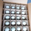 강원도 청계 농장 이미지