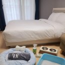 블루12속초오션파크 | 속초 숙소 추천 | 위치 최적, 가성비 가격 '리센 오션파크 호텔' 후기