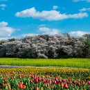 중2동-45 이미지