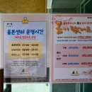 홀론테라피
