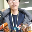 수원 락 실내바다 낚시터 이미지