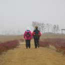 장수천공원 이미지