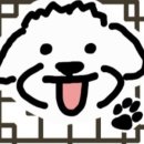 수제간식맛집 이미지