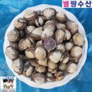 벌교수산