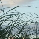 상구3리 | 01, 애공01년-(哀公元年)-전(傳)-03