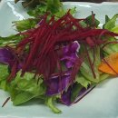 애완동물 소품(옷)만들기 이미지