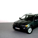 2002 BMW X5 3.0d D.V (Sterling Pearl Gray Metallic) 이미지