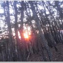 밤재농장 이미지