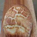 초이스농장 이미지