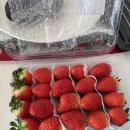 이마트24 남대전IC점 | 임신 중기도 벌써 안녕 : 공포의 임당검사부터 입체초음파까지 (임신 24주~28주)