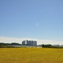 칠보산숲길 이미지