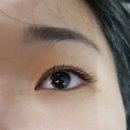 오래쉬(O’LASH) 이미지