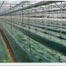 대박 제2농장 이미지