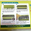 겨자씨 | [다이소] 적겨자&amp;상추 셀프 재배키트 ‘고기친구 텃밭세트’ 구매후기