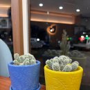 1퍼센트익산