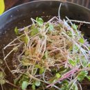 탑PC | 천안 성환 맛집 원조중원탑막국수 | 주차 편한 물막국수 내돈내산 후기