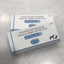 시민공원 동물약국 이미지