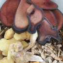 오늘도한의원 이미지