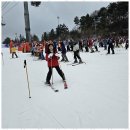 창조태권도 이미지