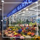 글림플라워마켓 | 여의도 꽃집 추천- 글림 플라워 마켓 내돈내산 후기