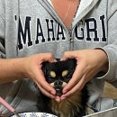 치래마을 | [5월 4주차] 편도도 생명인데