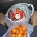 하동상회 | 하동🍵