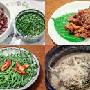 건강세상 이미지