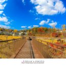 대청호 자연수변공원 이미지